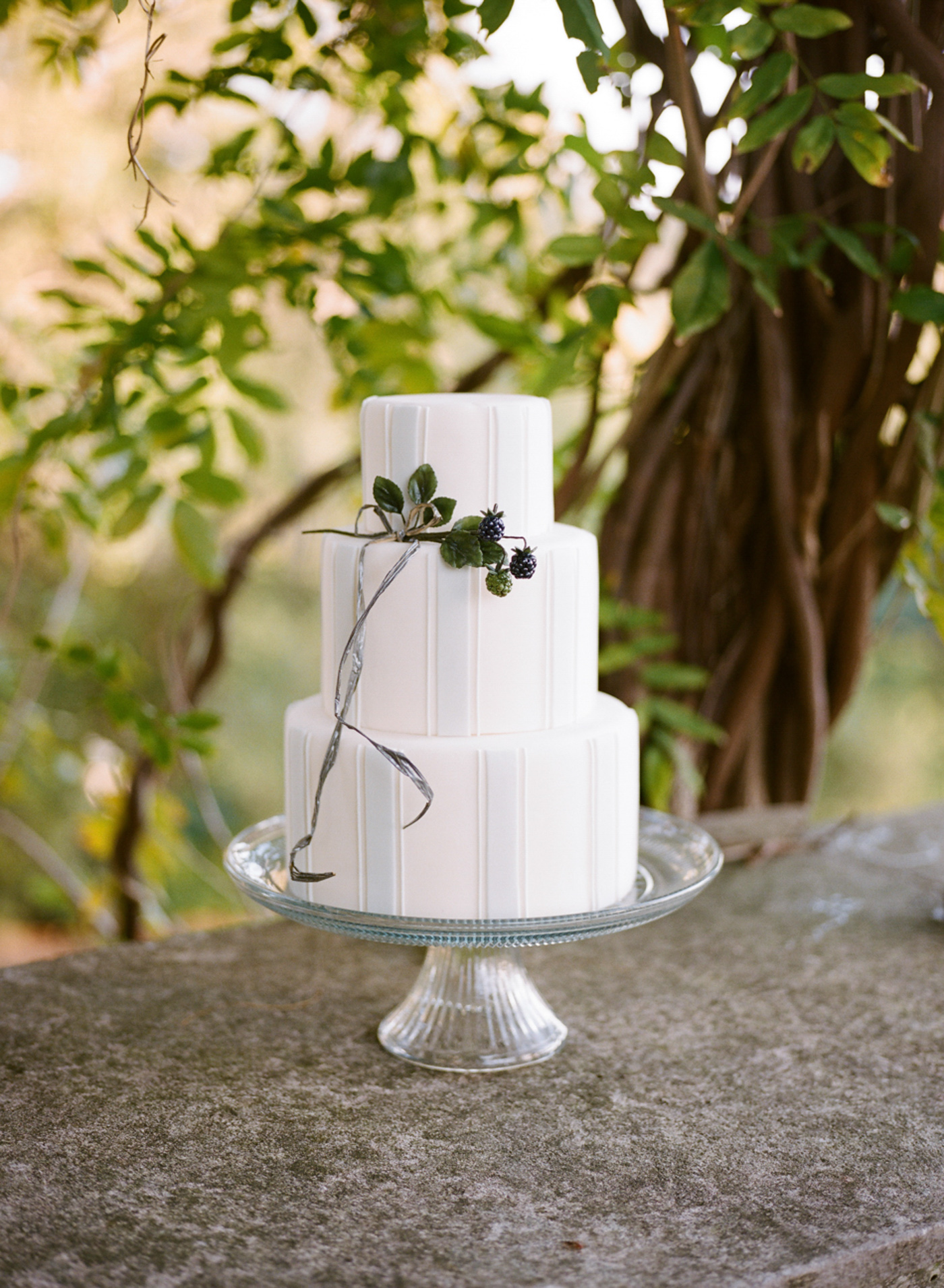 Organic wedding cake,
Koby Brown Photography,
Tennessee Wedding Photographer,
Rachel and Johnny
