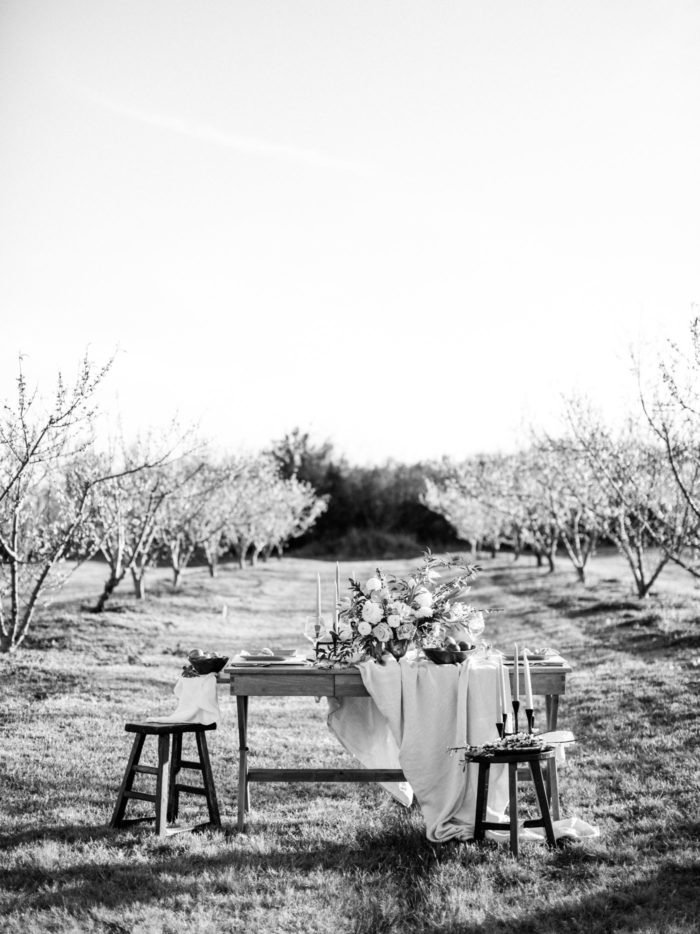 Spring wedding decor,
Koby Brown Photography,
Allison and Hart's wedding