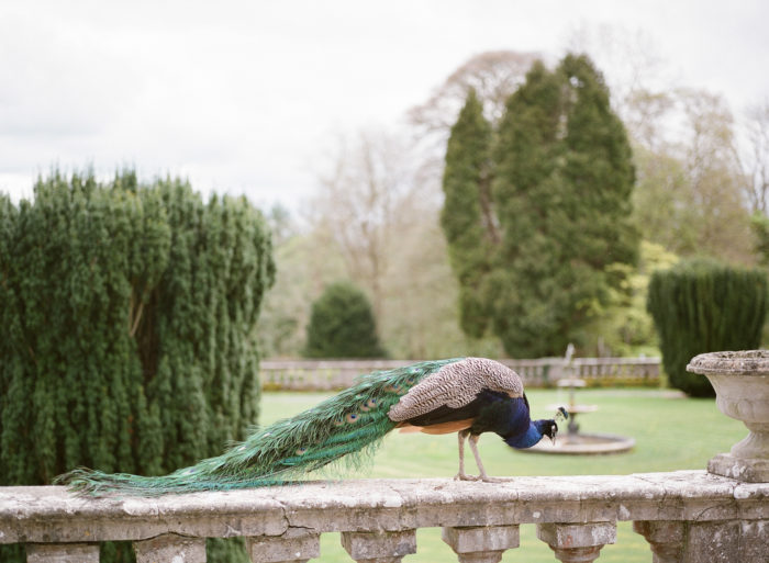 Luxury Photography, Koby Brown Photography,
Gloster House Editorial,
Ireland Wedding Photographer